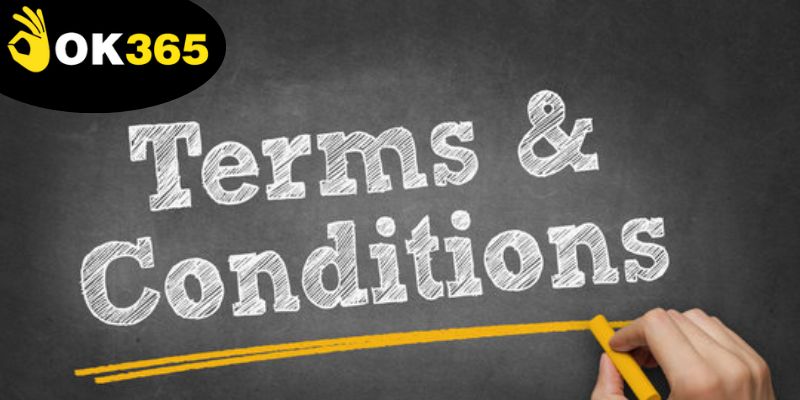 Điều khoản và điều kiện Ok365 minh bạch, công khai tỷ lệ và quy định